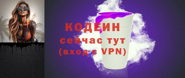 прущие грибы Няндома
