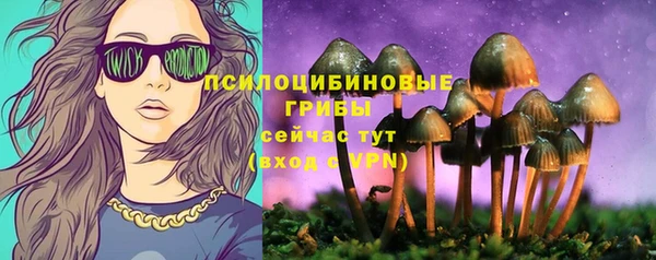 Альфа ПВП Беломорск