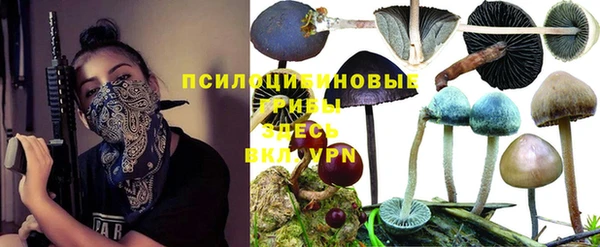 скорость mdpv Белокуриха